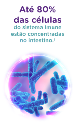 Até 80% das células do sistema imune estão concentradas no intestino. (1)