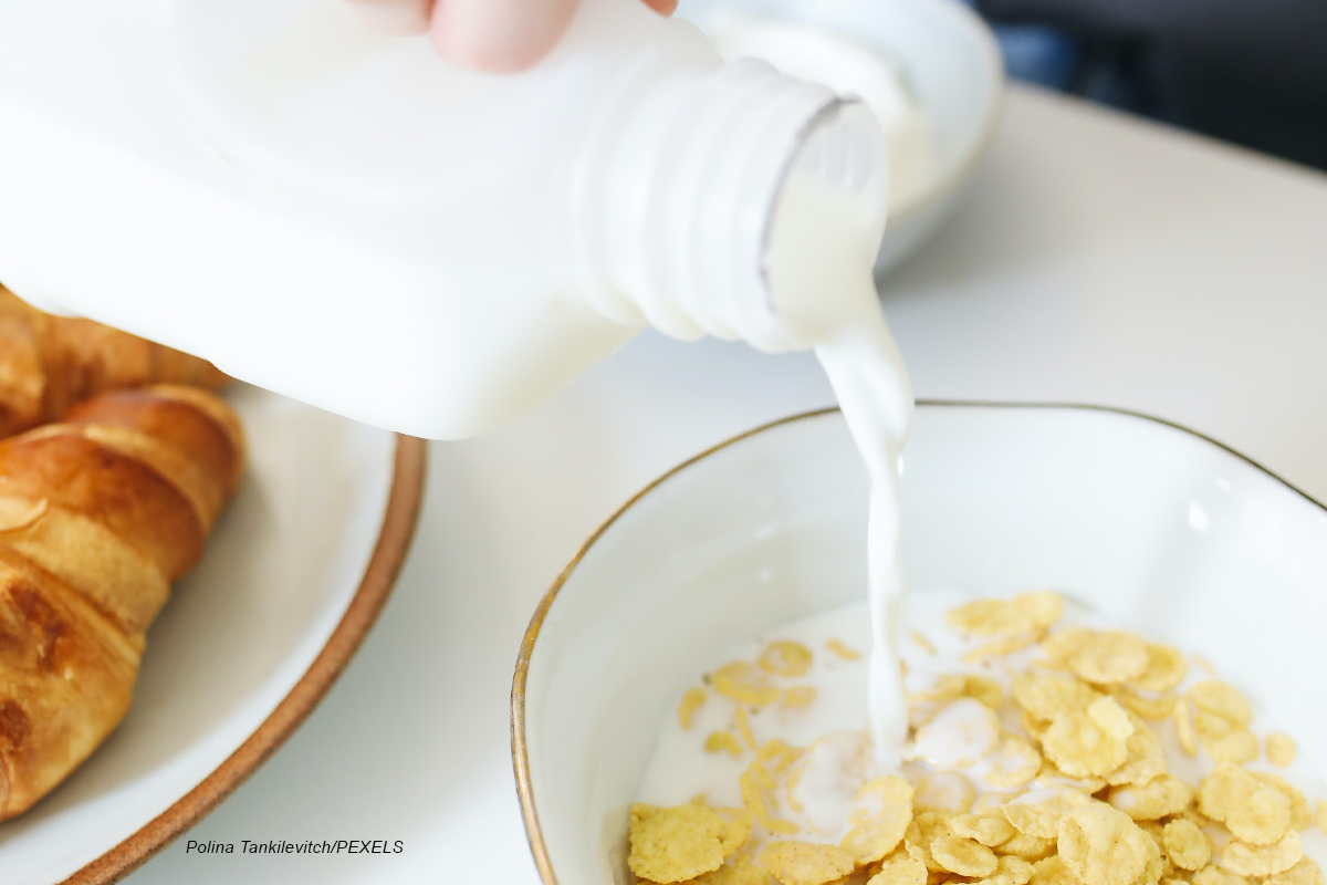 gluten e lactose fazem mal? - o que é lactose?